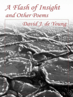 A Flash of Insight and Other Poems