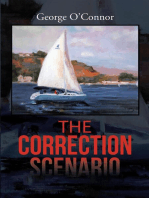 The Correction Scenario