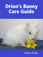 Orion's Bunny Care Guide