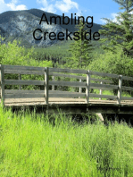 Ambling Creekside