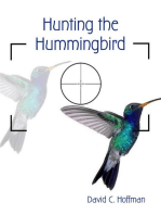 Hunting the Hummingbird