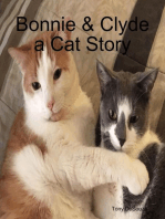 Bonnie & Clyde a Cat Story