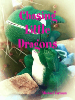 Chasing Little Dragons