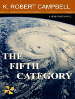 The Fifth Category
