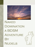 Naked Domination a BDSM Adventure