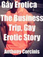 Gay Erotica: The Business Trip, Gay Erotic Story