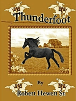 Thunderfoot