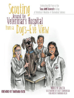 Scouting Around the Veterinary Hospital from a Dog’s-Eye View