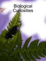 Biological Curiosities