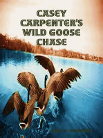 Casey Carpenter's Wild Goose Chase