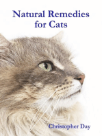 Natural Remedies for Cats