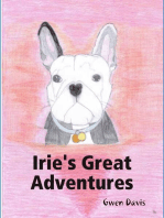 Irie's Great Adventures
