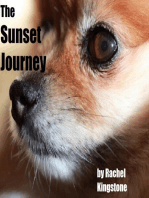 The Sunset Journey