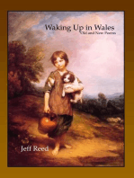 Waking Up in Wales: Old and New Poems