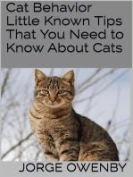 Cat Behavior: Little Known Tips That You Need to Know About Cats