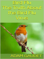 Bird Flu: The Truth About the Bird Flu Virus