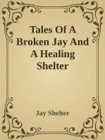 Tales of a Broken Hearted Jay and a Healing Shelter