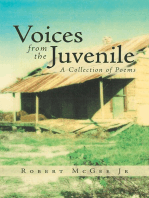 Voices from the Juvenile: A Collection of Poems