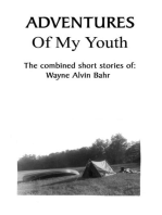 Adventures Of My Youth: The Combined Short Stories of