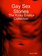 Gay Sex Stories: The Kinky Erotica Collection