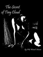 The Secret of Tiny Cloud