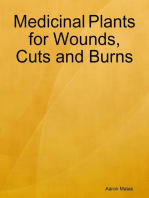 Medicinal Plants for Wounds, Cuts and Burns