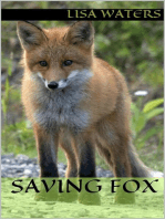 Saving Fox
