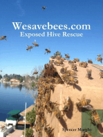 Wesavebees.com: Exposed Hive Rescue