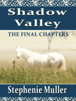 Shadow Valley - The Final Chapters