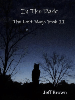 In The Dark: The Last Mage Book II: The Last Mage, #2