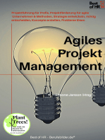 Agiles Projektmanagement: Projektführung für Profis, Projektförderung für agile Unternehmen & Methoden, Strategie entwickeln, richtig entscheiden, Konzepte erstellen, Probleme lösen