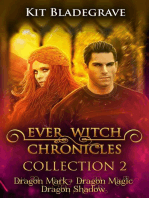 Ever Witch Chronicles Collection 2: Ever Witch Chronicles Collection, #2