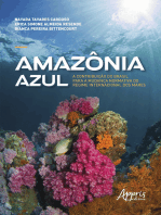 Amazônia Azul::  A Contribuição do Brasil para a Mudança Normativa do Regime Internacional dos Mares