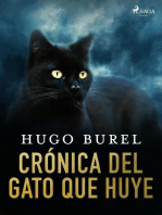 Crónica del gato que huye