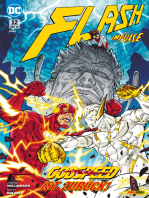 Flash - Bd. 12 (2. Serie)
