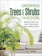 Growing Trees & Shrubs Indoors