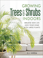 Growing Trees & Shrubs Indoors: Breathe New Life into Your Home with Large Plants