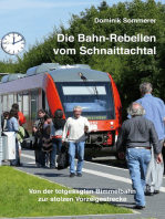Die Bahn-Rebellen vom Schnaittachtal: Von der totgesagten Bimmelbahn zur stolzen Vorzeigestrecke