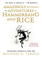 Amazingly Avoidable Adventures of Hammerbang and Rice