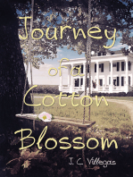 Journey of a Cotton Blossom