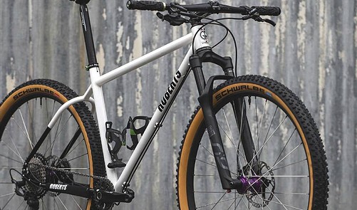 Autocollant Tube Supérieur Roberts D.O.G.S. B.O.L.X. - Sticker Vélo Rétro - Neuf Sous Blister