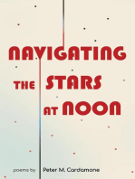Navigating the Stars at Noon