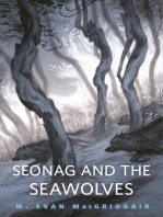 Seonag and the Seawolves: A Tor.com Original