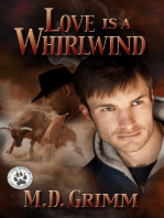Love is a Whirlwind (The Shifter Chronicles 2)