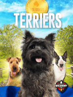 Terriers