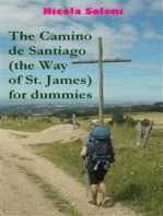 The Camino de Santiago (the Way of St. James) for dummies: Tips and tricks on how to prepare, where to look for information, how to organize the trip and what to put in the backpack