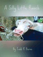 A Silly Little Ranch