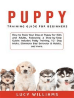 Puppy Training Guide for Beginners