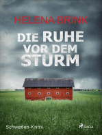 Die Ruhe vor dem Sturm - Schweden-Krimi