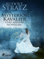 Der mysteriöse Kavalier und andere Novellen